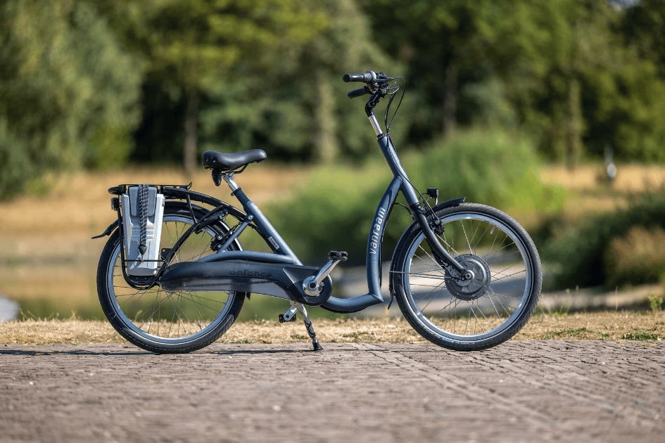 van-raam-instapfiets-balance-png.png